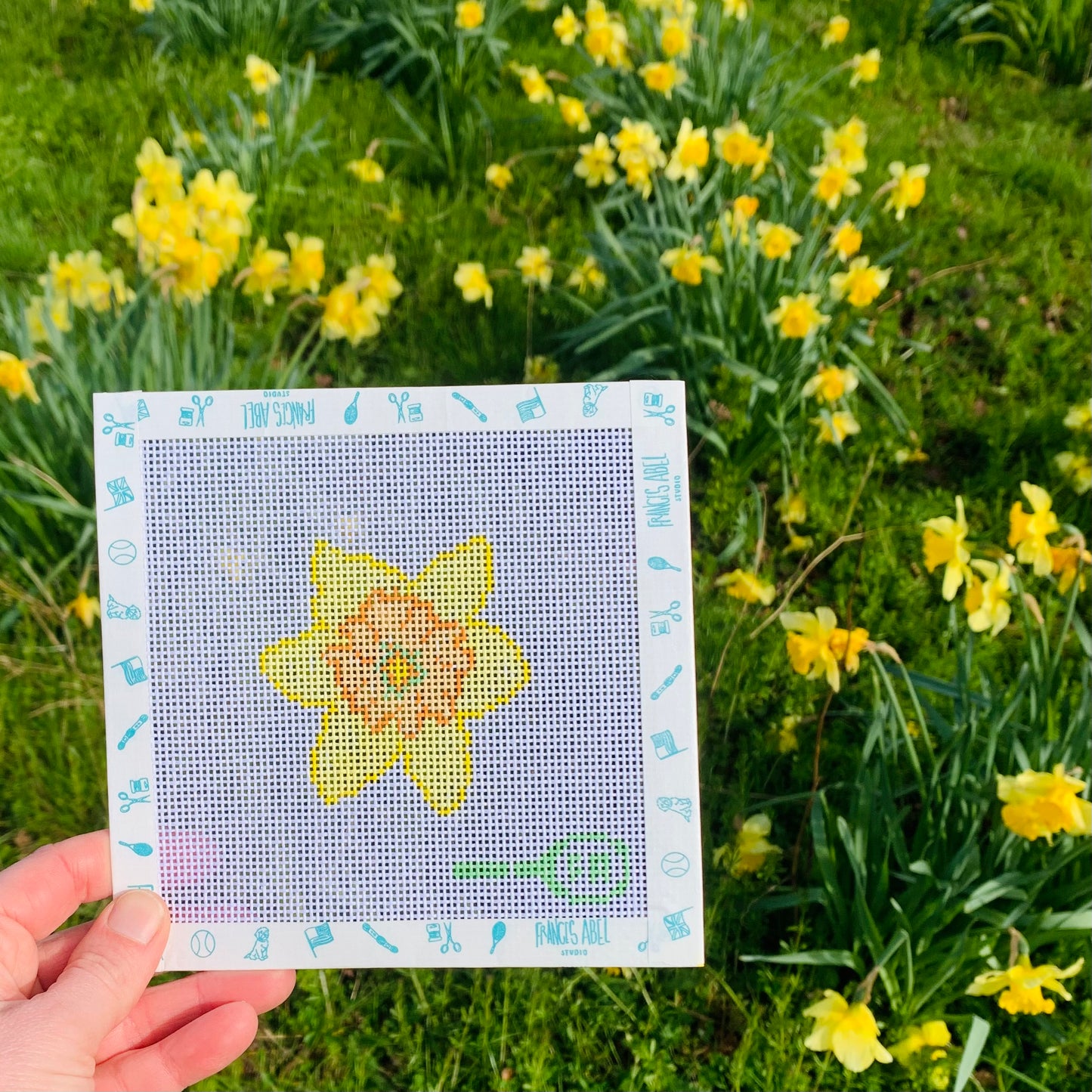 First Day of Spring Daffodil CHART