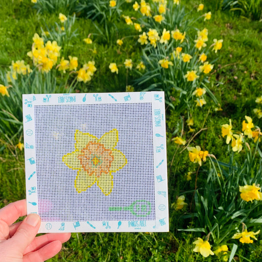 First Day of Spring Daffodil CHART
