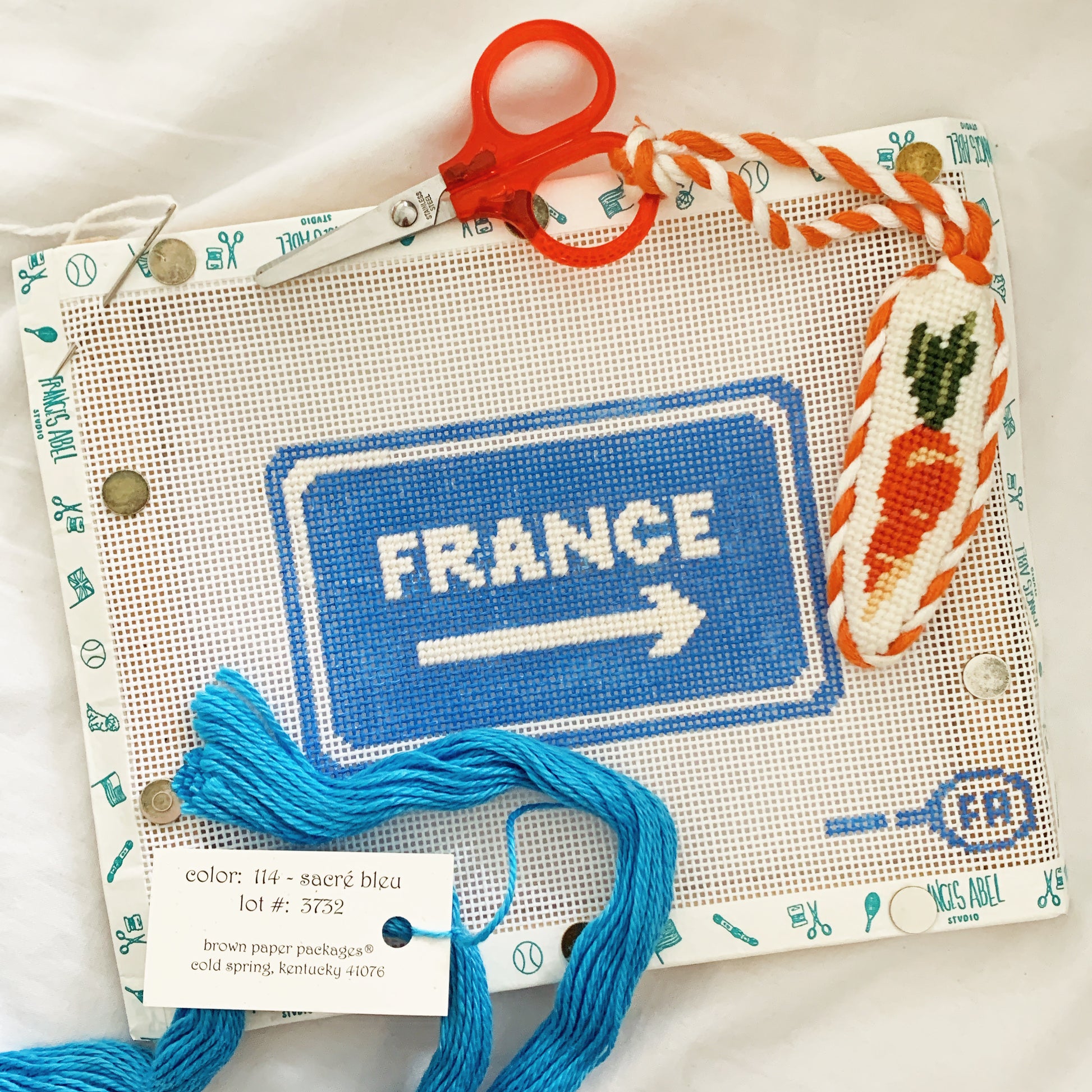 Flat-lay of a “FRANCE →” blue directional sign needlepoint chart printed on 14-mesh canvas, styled with a stitched orange carrot key fob, turquoise embroidery floss, red-handled scissors, and safety pins

